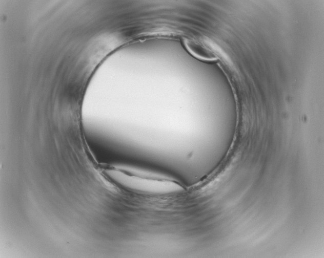 X0000088131329200705291323