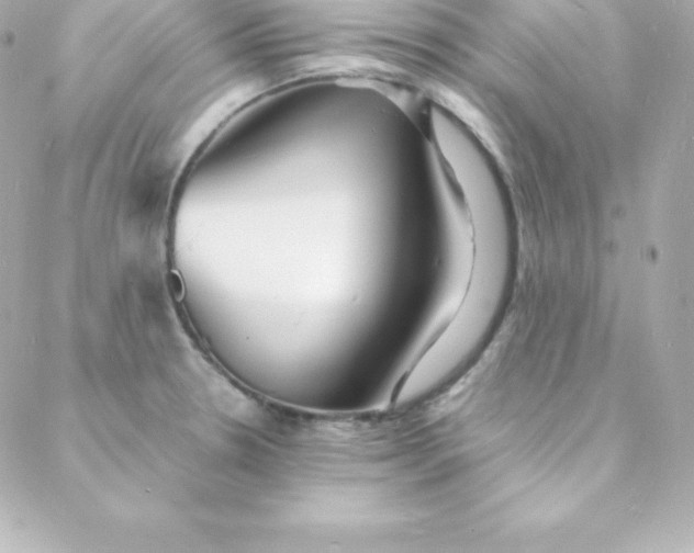 X0000088131330200705291323