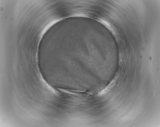 X0000088131331200705291323