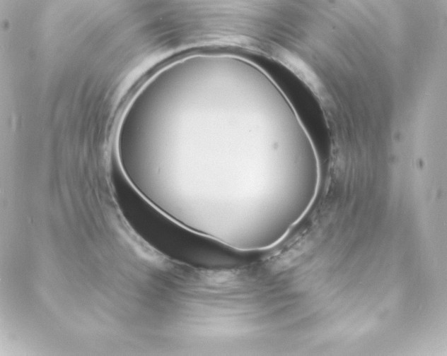 X0000088131332200705291323