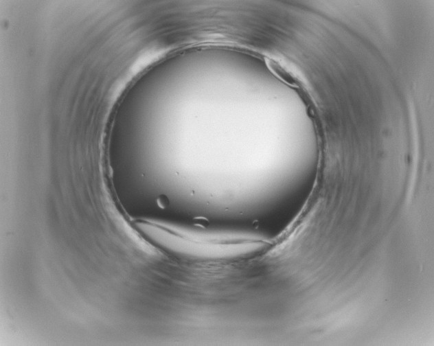 X0000088131333200705291323