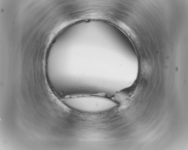 X0000088131334200705291323