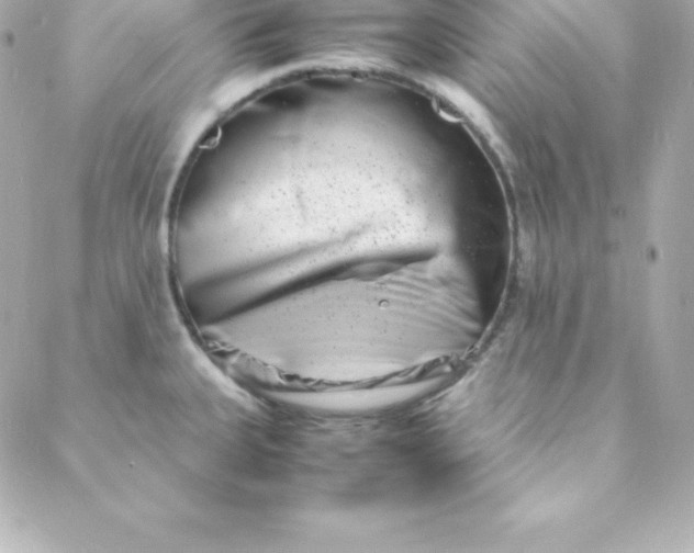 X0000088131335200705291323