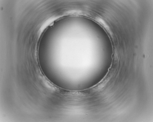 X0000088131336200705291323