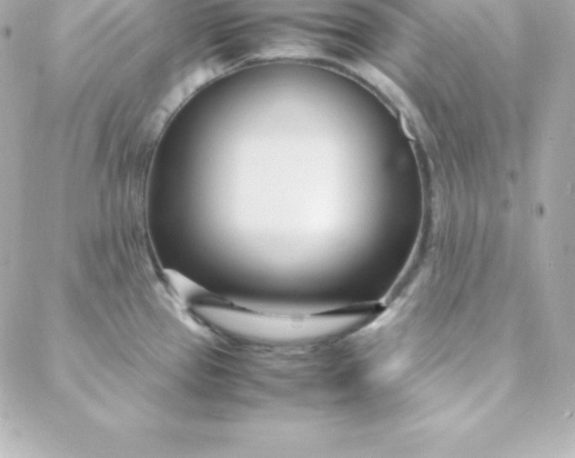 X0000088131337200705291323