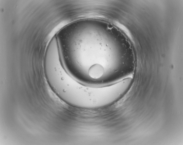 X0000088131338200705291323