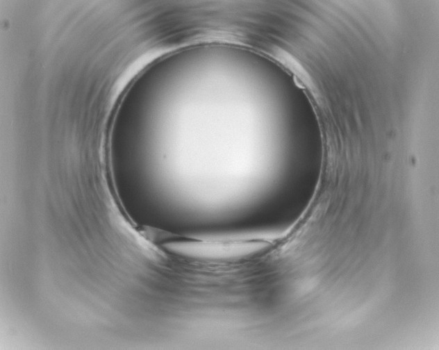 X0000088131339200705291323