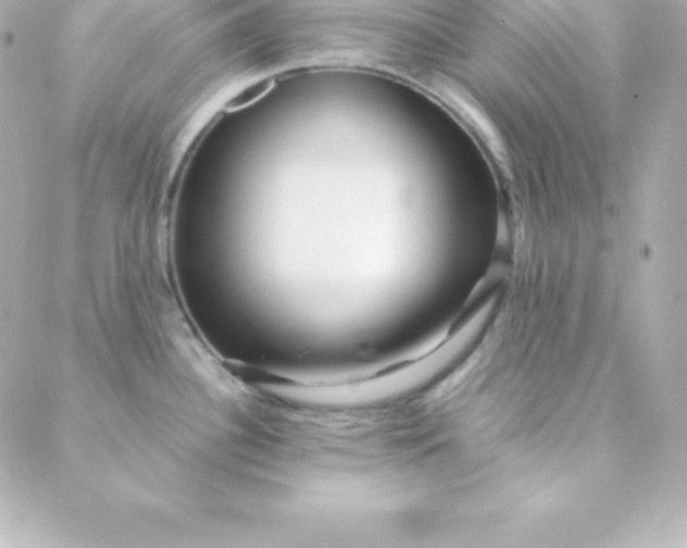 X0000088131340200705291323