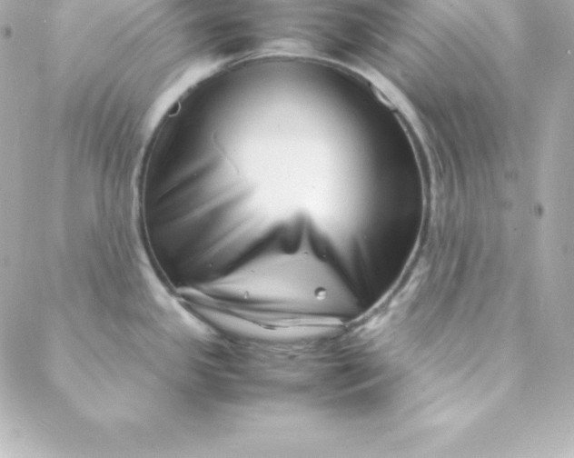 X0000088131341200705291323