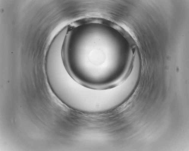 X0000088131342200705291323