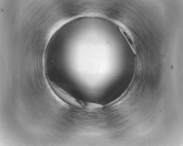 X0000088131343200705291323