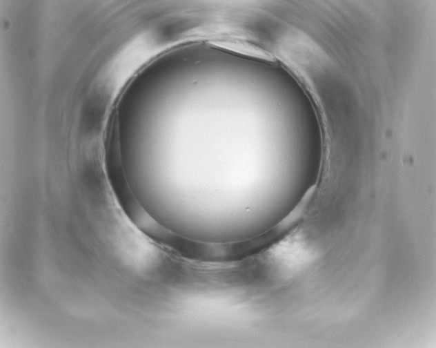 X0000088131344200705291323