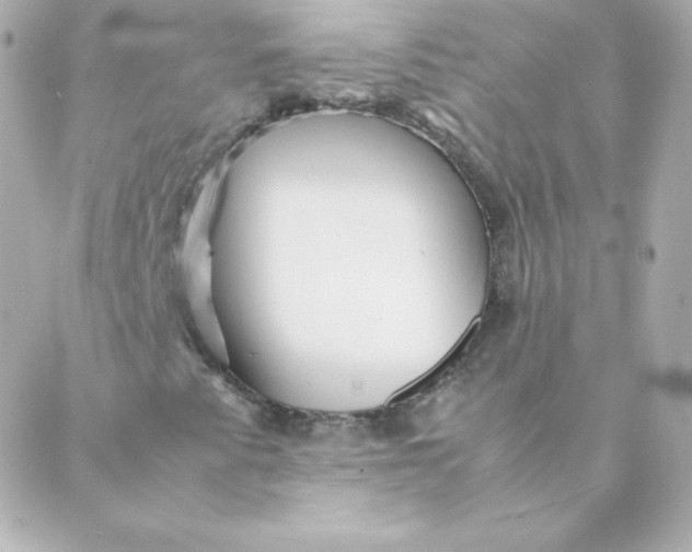 X0000088131345200705291323