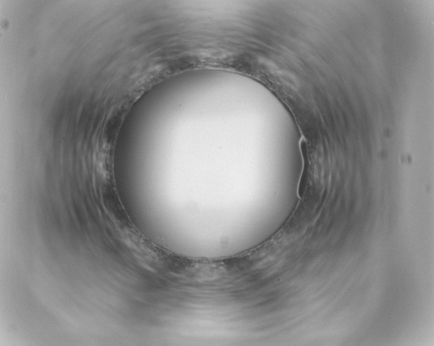 X0000088131346200705291323