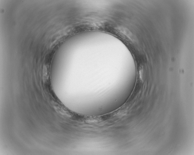 X0000088131347200705291323