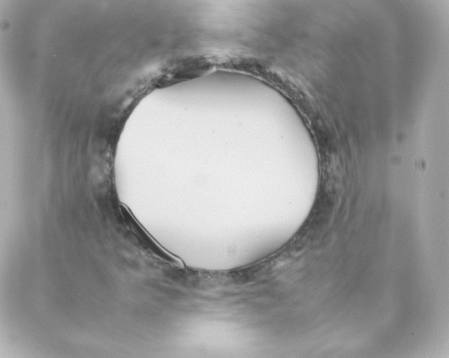 X0000088131349200705291323