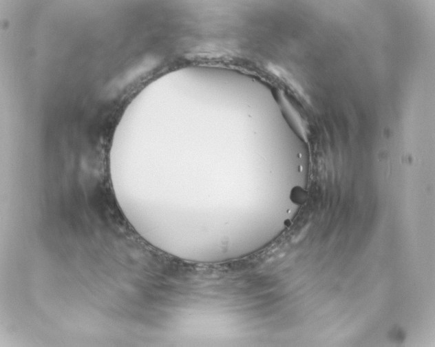 X0000088131350200705291323