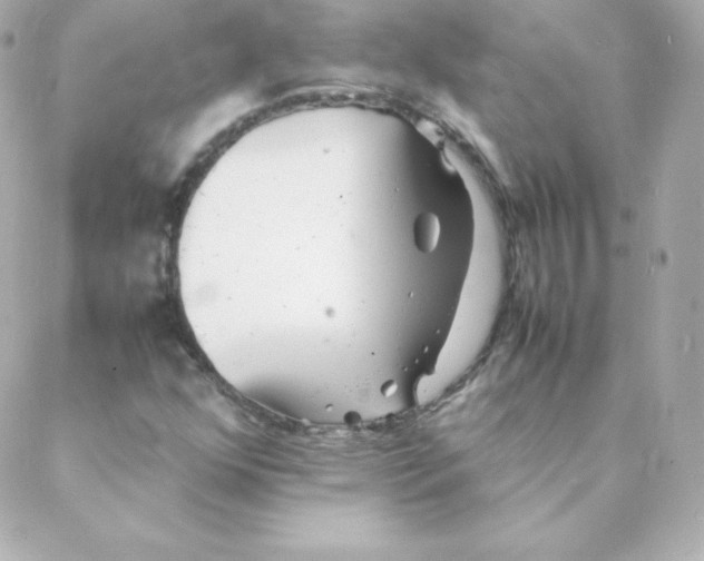 X0000088131352200705291322