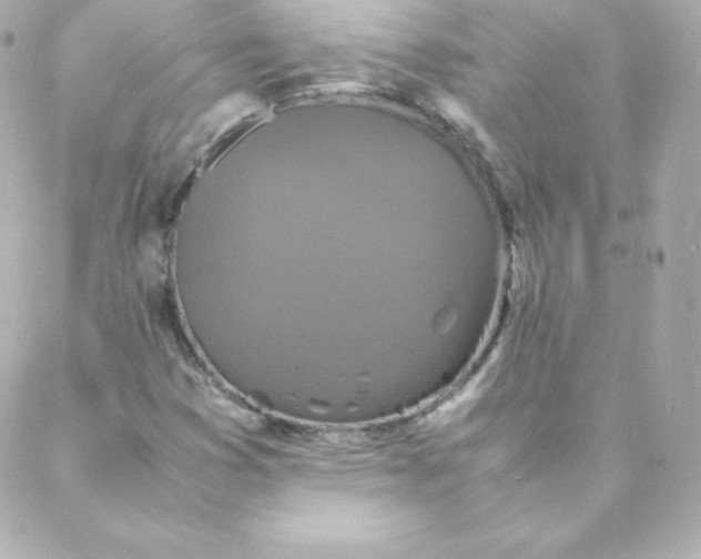 X0000088131353200705291322