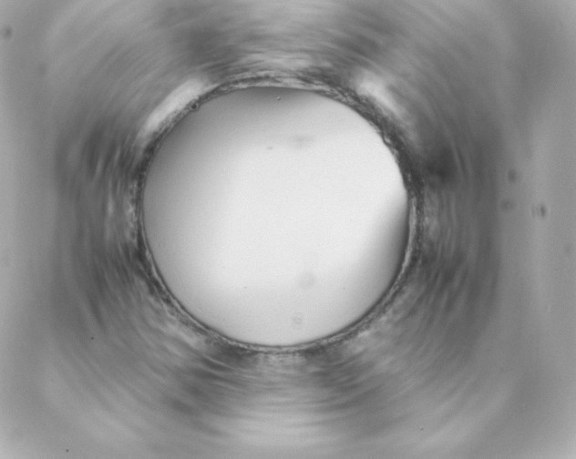 X0000088131354200705291322