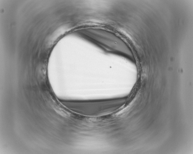 X0000088131355200705291322