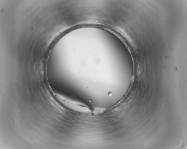 X0000088131356200705291322