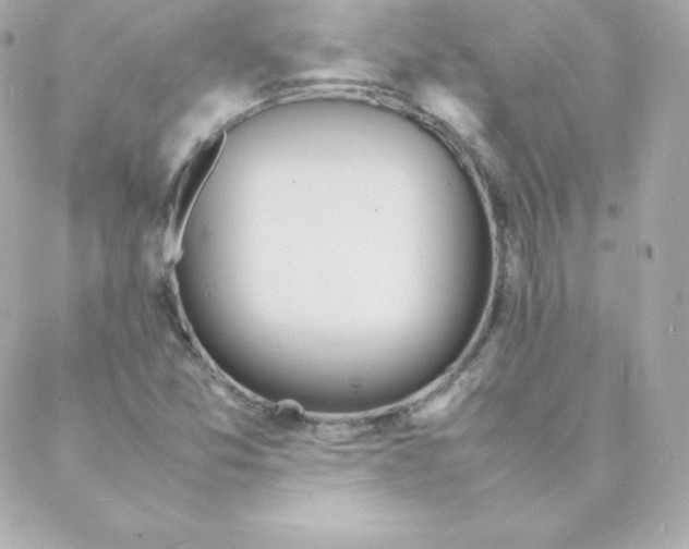 X0000088131357200705291322