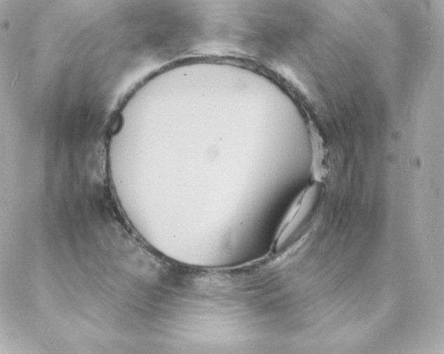 X0000088131358200705291322