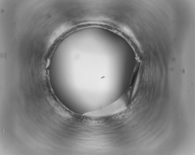 X0000088131360200705291322