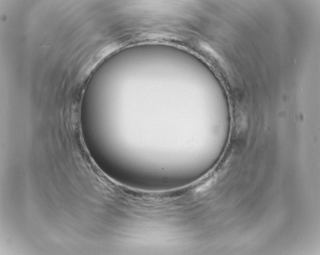 X0000088131361200705291322