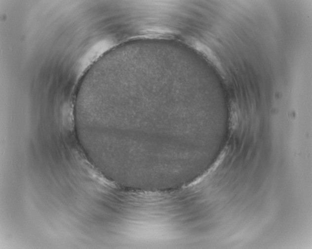 X0000088131362200705291322