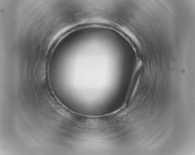 X0000088131364200705291322