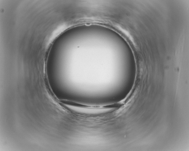 X0000088131365200705291322