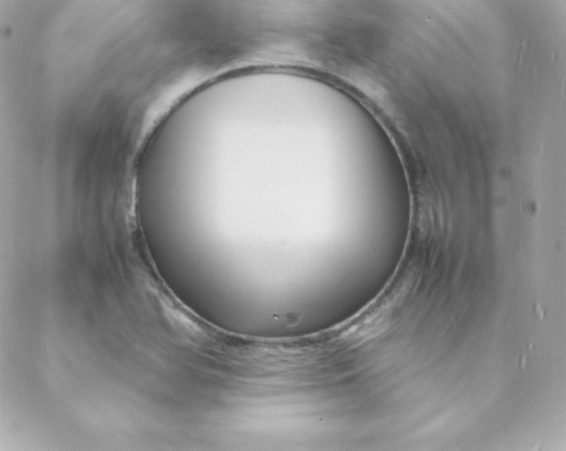 X0000088131366200705291322