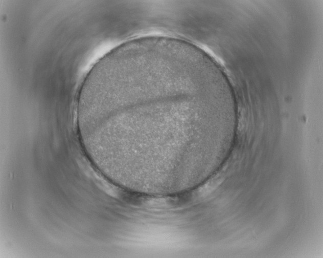 X0000088131367200705291322