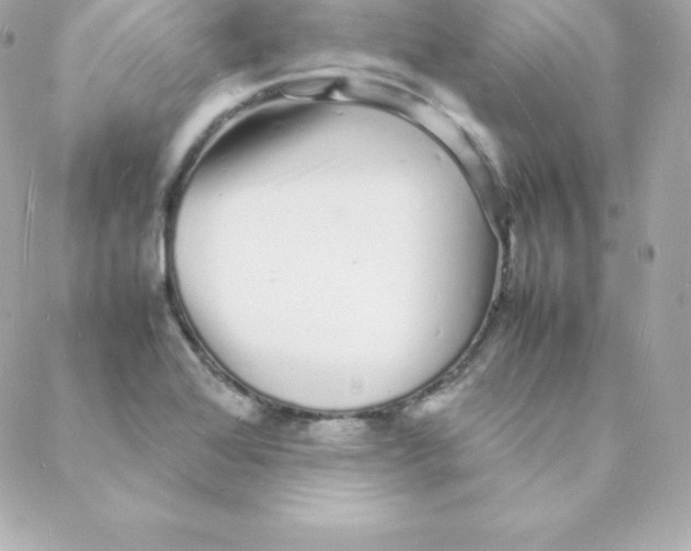 X0000088131368200705291322