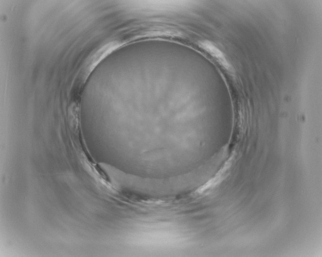 X0000088131369200705291322