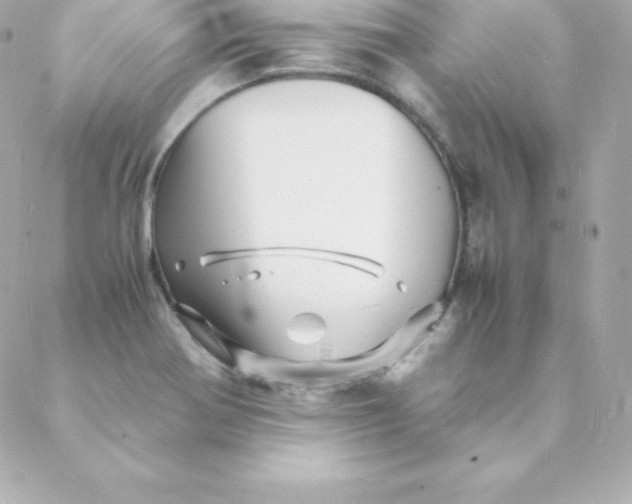 X0000088131370200705291322