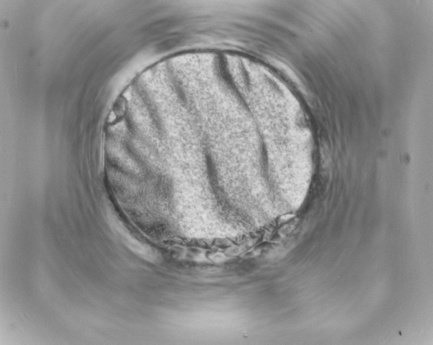 X0000088131371200705291322