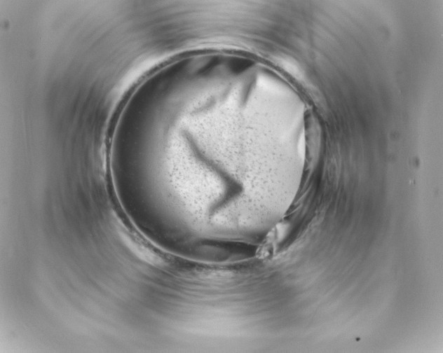 X0000088131372200705291322