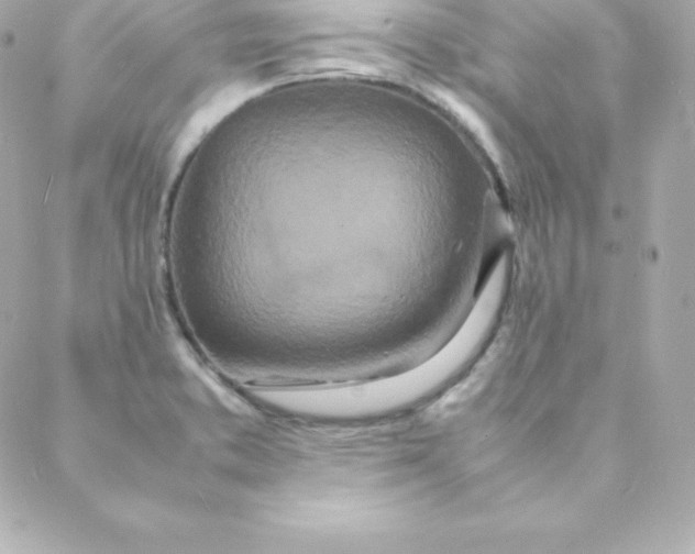 X0000088131373200705291322