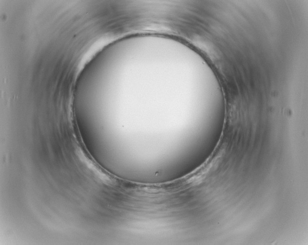 X0000088131374200705291322