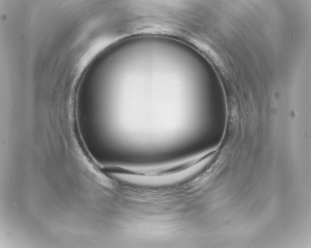 X0000088131375200705291322