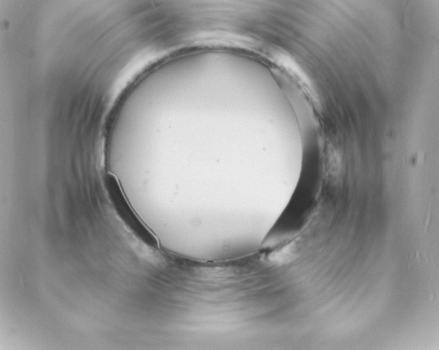 X0000088131376200705291322