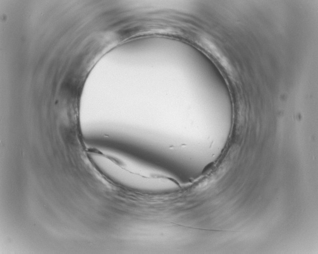 X0000088131377200705291322