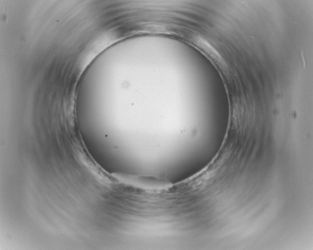 X0000088131378200705291322