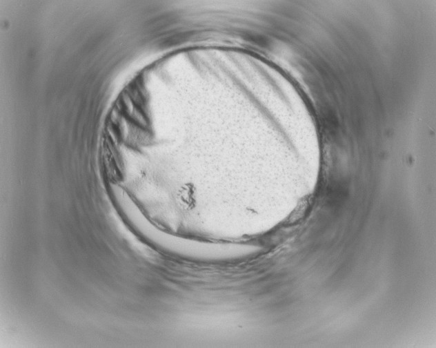 X0000088131379200705291322