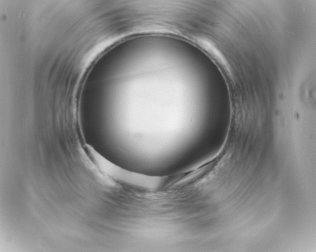 X0000088131380200705291322