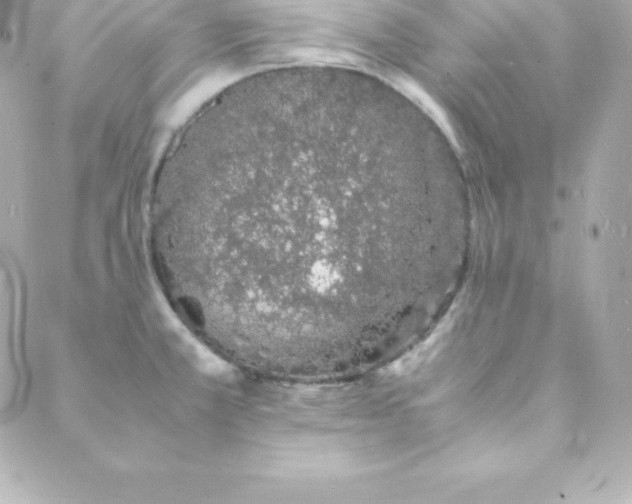 X0000088131381200705291322