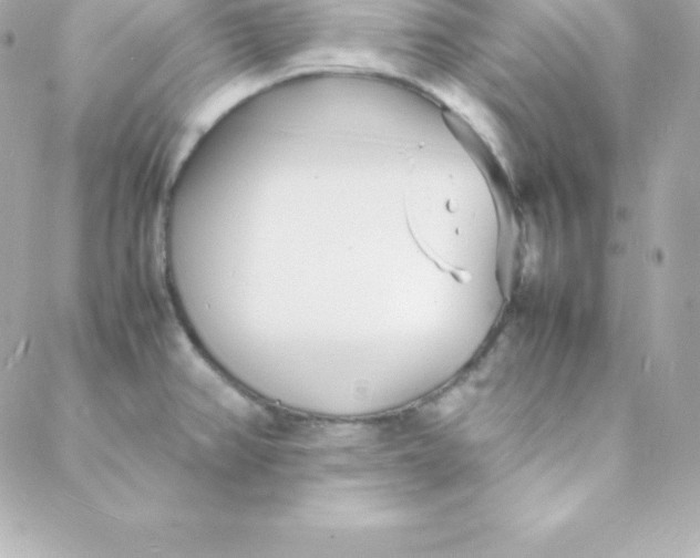 X0000088131382200705291322